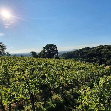 Weingut & Ferienwohnungen Lenhard Langaberg Exterior foto