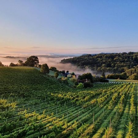 Weingut & Ferienwohnungen Lenhard Langaberg Exterior foto