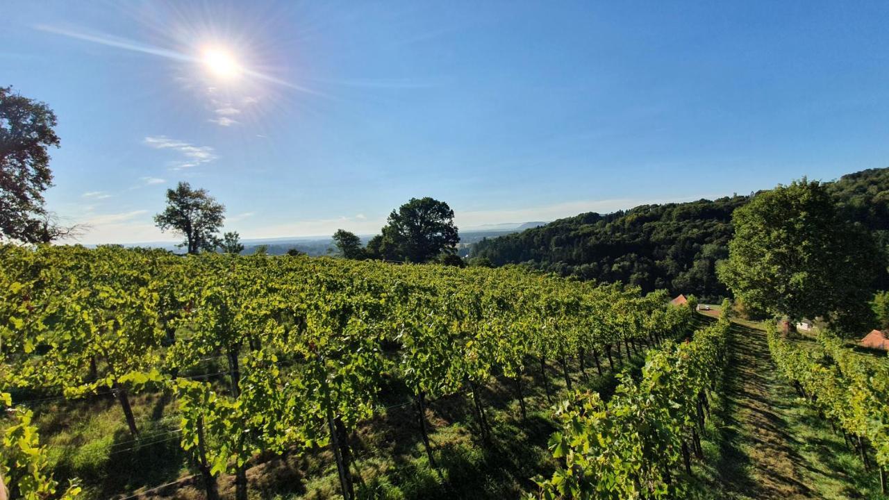 Weingut & Ferienwohnungen Lenhard Langaberg Exterior foto