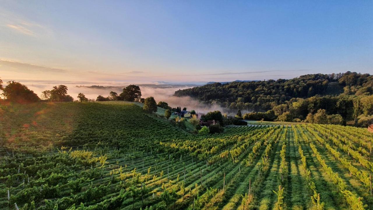 Weingut & Ferienwohnungen Lenhard Langaberg Exterior foto