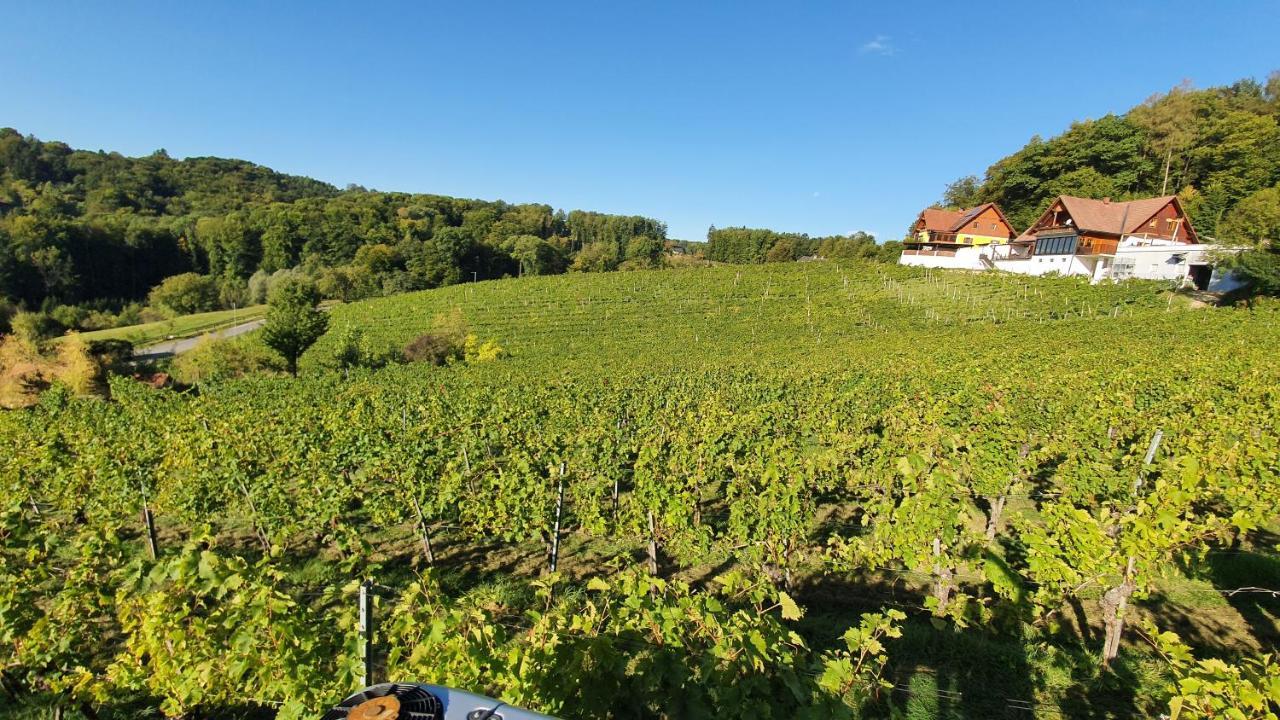 Weingut & Ferienwohnungen Lenhard Langaberg Exterior foto