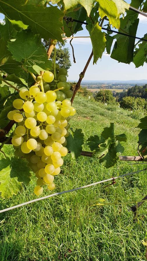 Weingut & Ferienwohnungen Lenhard Langaberg Exterior foto